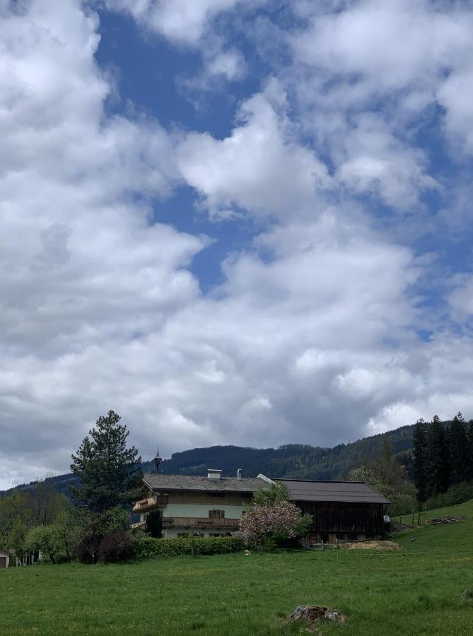 Hotel Garni Wieshof Kirchberg in Tirol Luaran gambar