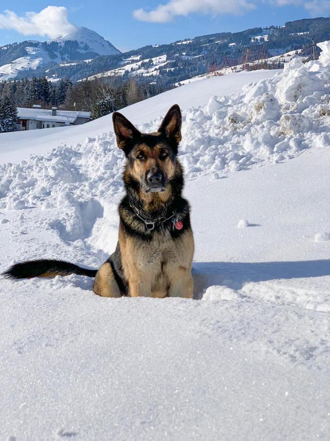 Hotel Garni Wieshof Kirchberg in Tirol Luaran gambar